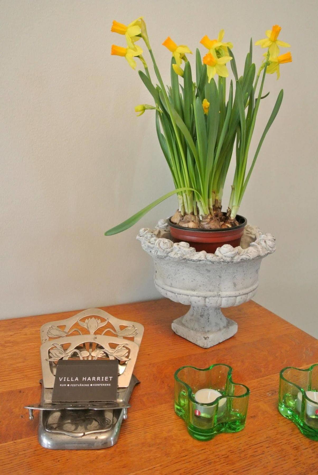 Villa Harriet Fittja エクステリア 写真